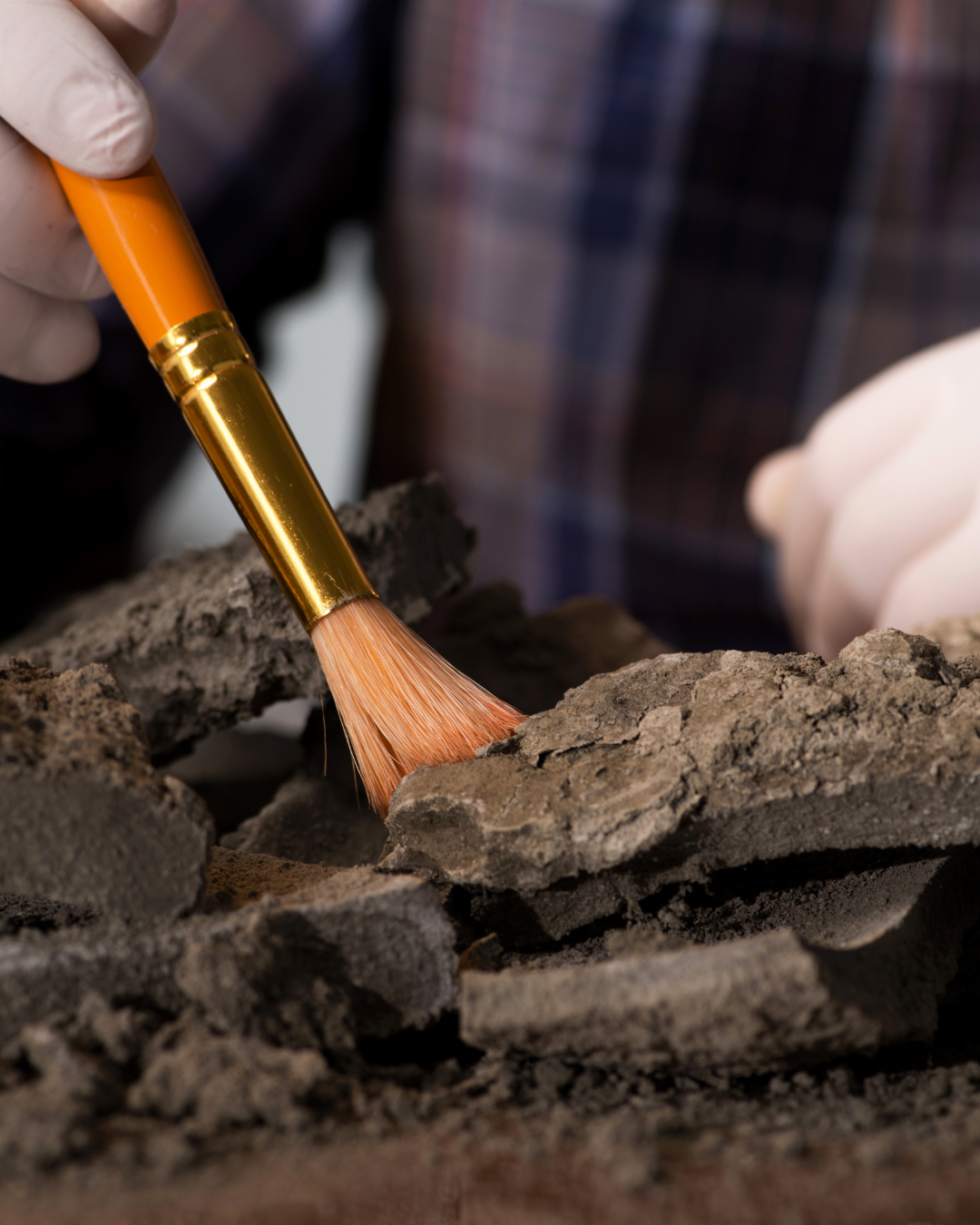 Person using a brush to excavate soil from a brick surface.