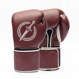 Pair of maroon boxing gloves with a logo on a white background.