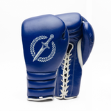 Blue boxing gloves with a white logo on a white background.